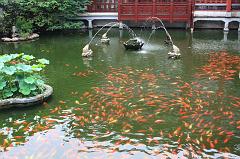 679-Shanghai,16 luglio 2014
